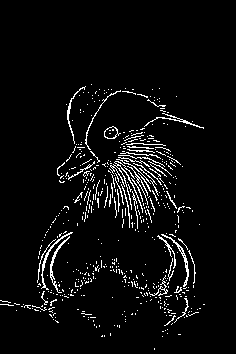 Sample edge detected image